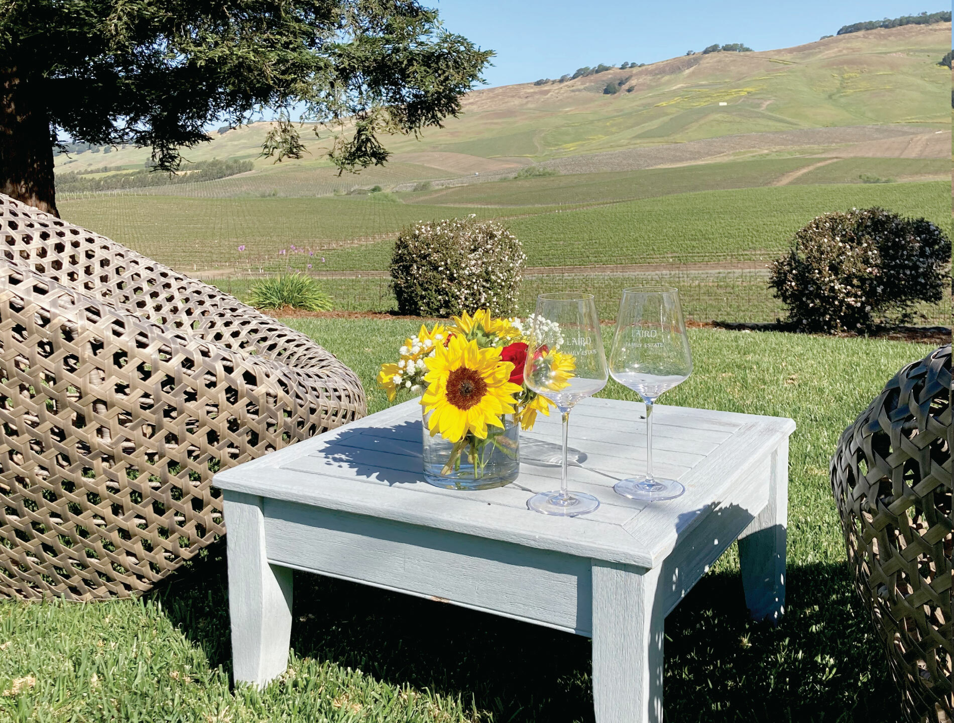 Lawn Table